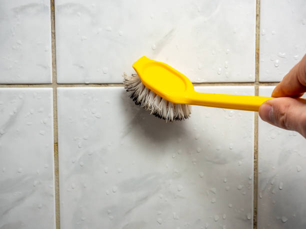 Mold Testing and Removal in Decatur, GA