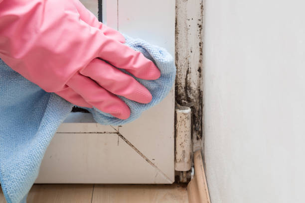 Best Home Mold Removal  in Decatur, GA